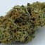 Honey Banana Buds 3.50 Gram