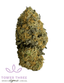 S'mores Buds 3.50 Gram