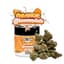 Orange Creamsicle Buds 28 Gram