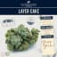 Layer Cake Buds 3.50 Gram