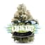 Oreoz Buds 3.50 Gram
