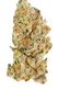 Platinum Pave Buds 3.50 Gram