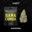 Bananconda Buds 3.50 Gram