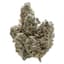 Florida Oranges Buds 7 Gram