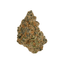 Apple Jacks Buds 3.50 Gram
