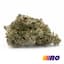 Gsh Mnts Buds 14 Gram
