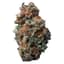 Sasquatch Sap Buds 14 Gram
