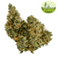 Garlic Buds 7 Gram