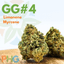 Gg #4 Buds 7 Gram