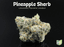 Pineapple Sherb Buds 14 Gram