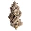 Red Velvet Buds 3.50 Gram