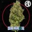 Dead Head Og Buds 3.50 Gram