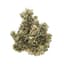 Gush Buds 3.50 Gram