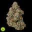 Secret Cookies Buds 3.50 Gram
