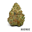 Strawberry Guava Buds 14 Gram