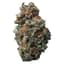 Sasquatch Sap Buds 3.50 Gram