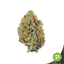 Lilac Diesel Buds 3.50 Gram