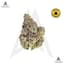 Blue Pave Buds 14 Gram