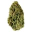 Blueberry Buds 28 Gram