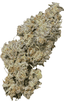 Black Mountain Side Buds 14 Gram