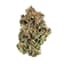 Lemon Sherbet Buds 7 Gram