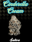 Cinderella Buds 3.50 Gram