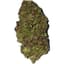 Paloma Buds 3.50 Gram