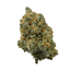 Gym Bag Buds 3.50 Gram