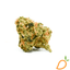 Paradise Fusion Buds 28 Gram