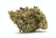 Dirty Taxi Buds 3.50 Gram