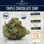Triple Chocolate Chip 14 Gram Flower