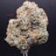 Coconut Cream Buds 3.50 Gram