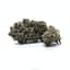 Paloma Buds 3.50 Gram