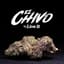 El Chivo Buds 1 Gram