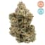 Pineapple Bang Buds 14 Gram
