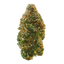 Trainwreck Buds 3.50 Gram