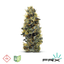 Gmo Buds 5.66 Gram