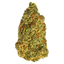 Turbo Diesel Buds 14 Gram
