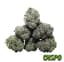 Glitter Bomb Buds 3.50 Gram