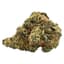 Truffle Treats Buds 7 Gram