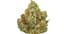 King Louie Buds 3.50 Gram