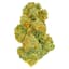 Black Jelly Buds 3.50 Gram