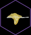 Royal Jelly Rosin 2 Gram