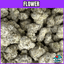 Snow Buds 3.50 Gram
