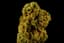 Stay Puft Buds 3.50 Gram