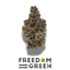 Freedom Buds 3.50 Gram