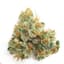 Gmo Rootbeer Buds 3.50 Gram