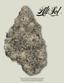 Hashburger Buds 3.50 Gram