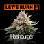 Hashburger Buds 3.50 Gram