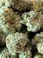Stink Palm Buds 3.50 Gram